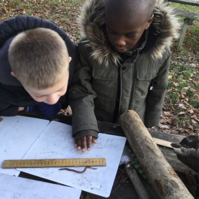 Year 1 - Forest School measuring (5)